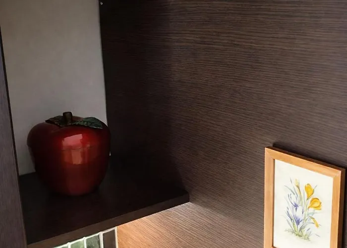 Urban Kimono Soluň